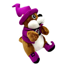Load image into Gallery viewer, Buc-ee&#39;s 12-inch Bucky Beaver Halloween 2025 Purple Witch Plush Mascot
