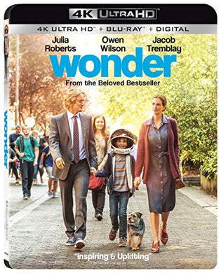 Wonder