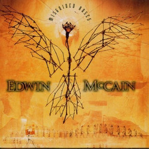 Edwin McCain – Misguided Roses